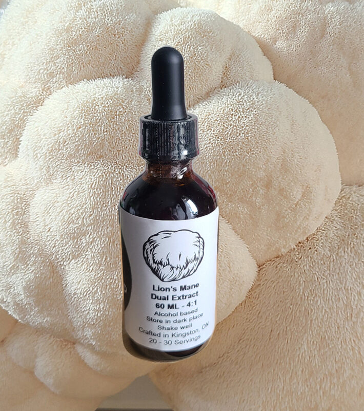 Lion’s Mane Dual Extract