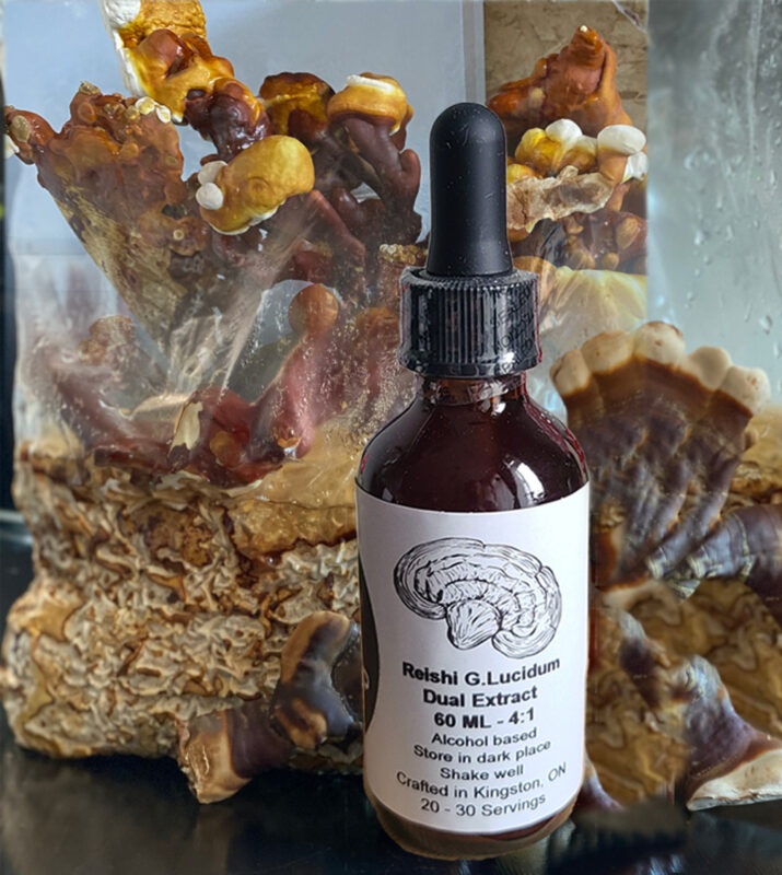 Reishi  Dual Extract