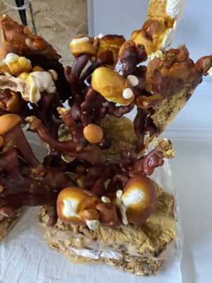 Reishi Ganoderma Multipileum